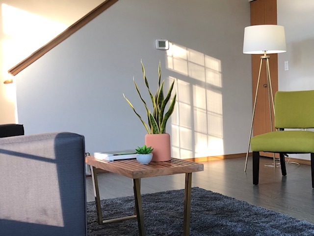 living room with plant